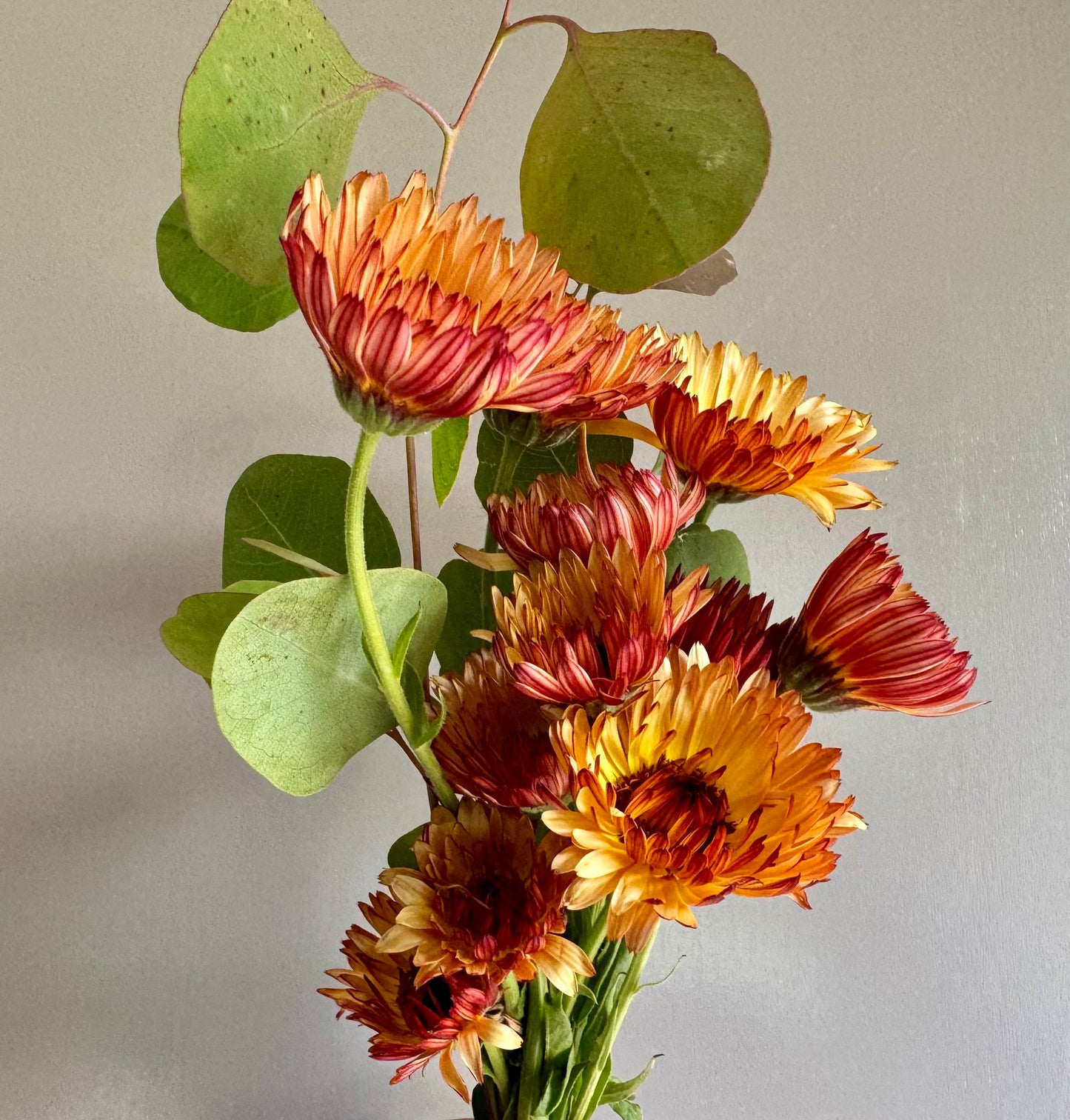 Farm made calendula salve