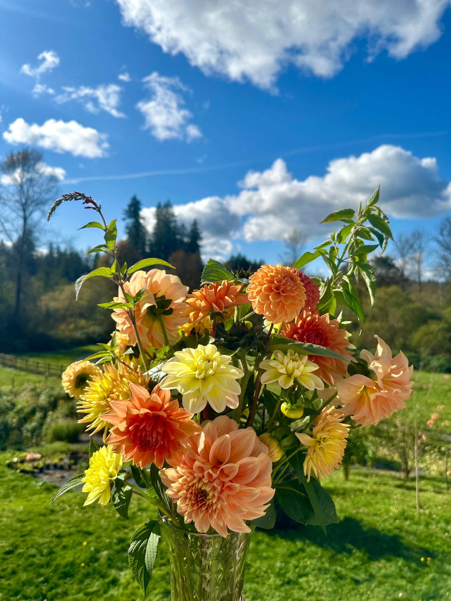 2026 Summer Flower Subscription (5 Bouquets Delivered to Mercer Island, Bellevue and Redmond