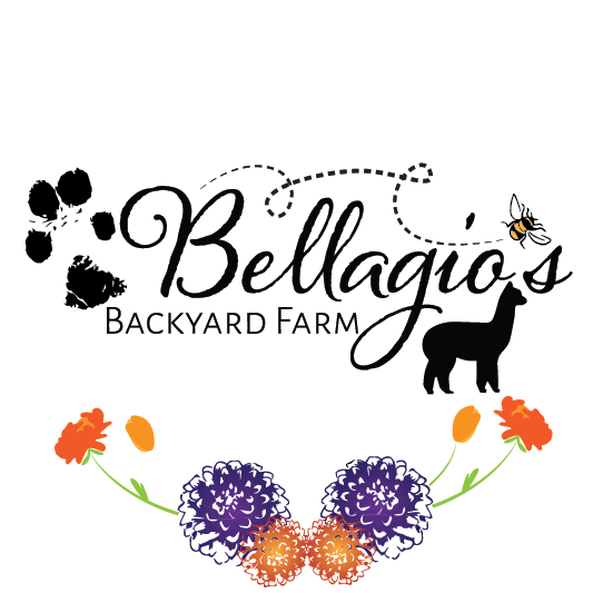 Bellagios Backyard Farm