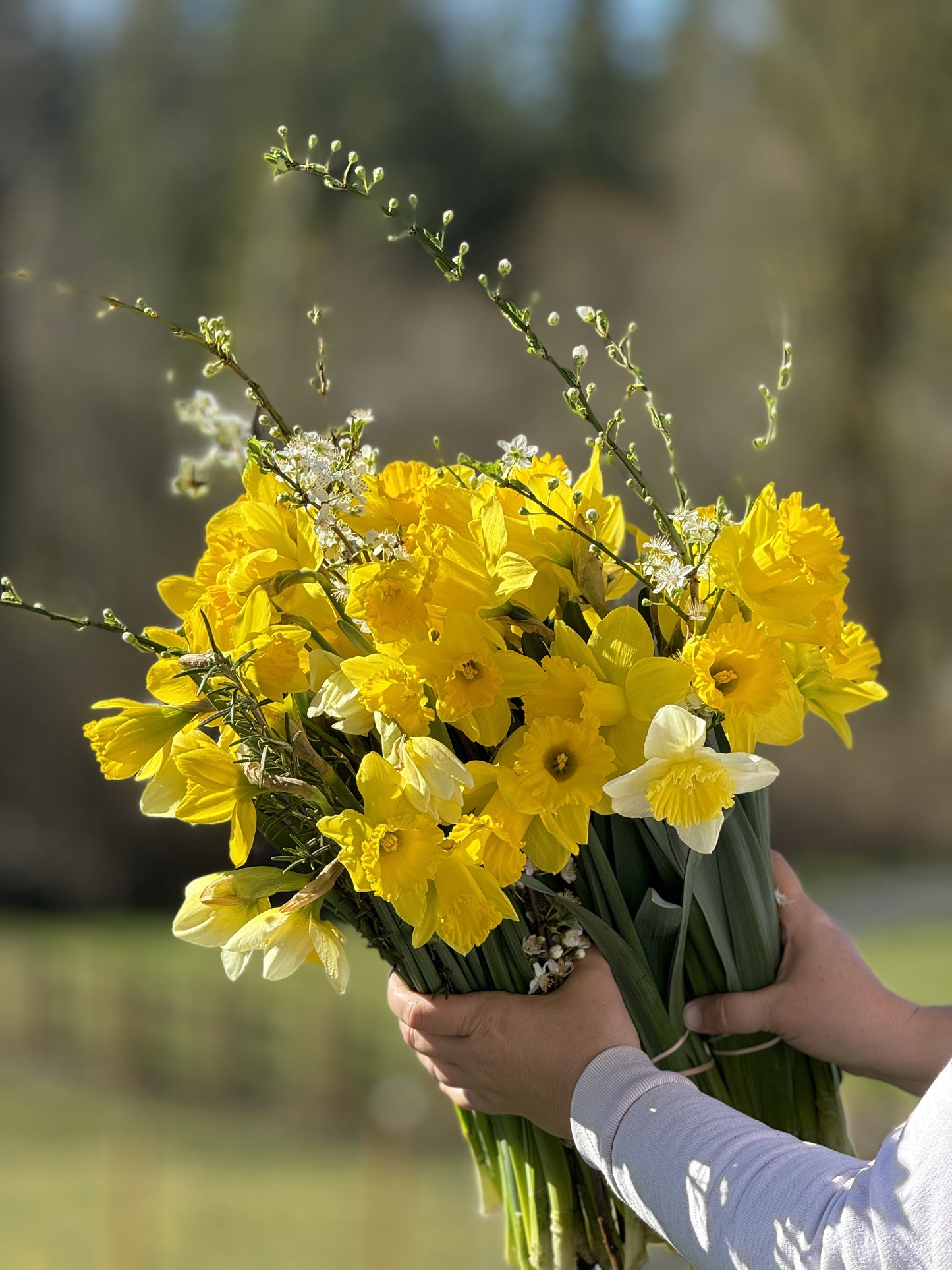 2025 Spring Flower Subscription (4 Bouquets) Delivered