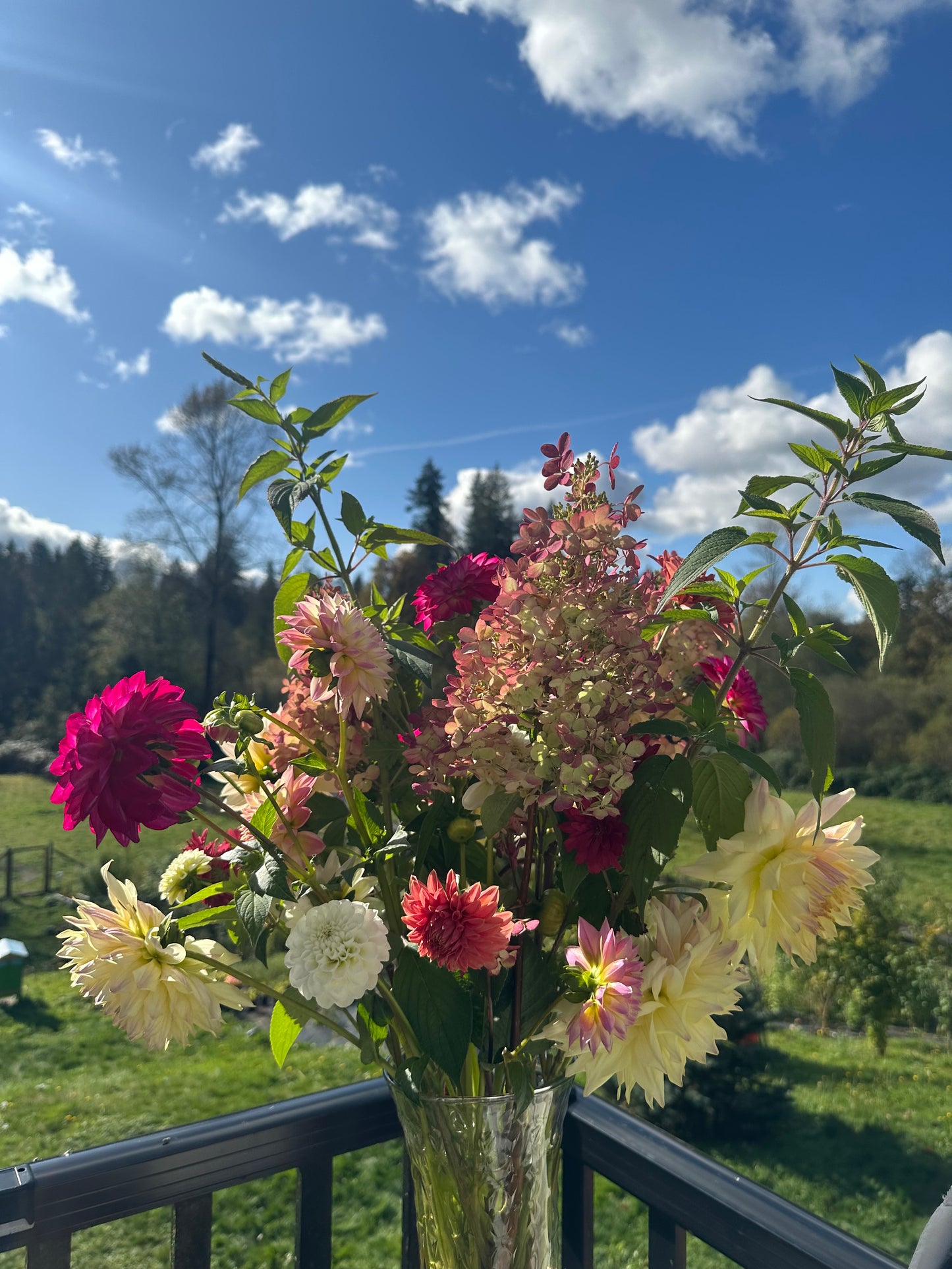 2025 Fall Bouquet Subscription (5 Bouquets and a Pumpkin!) Delivered!