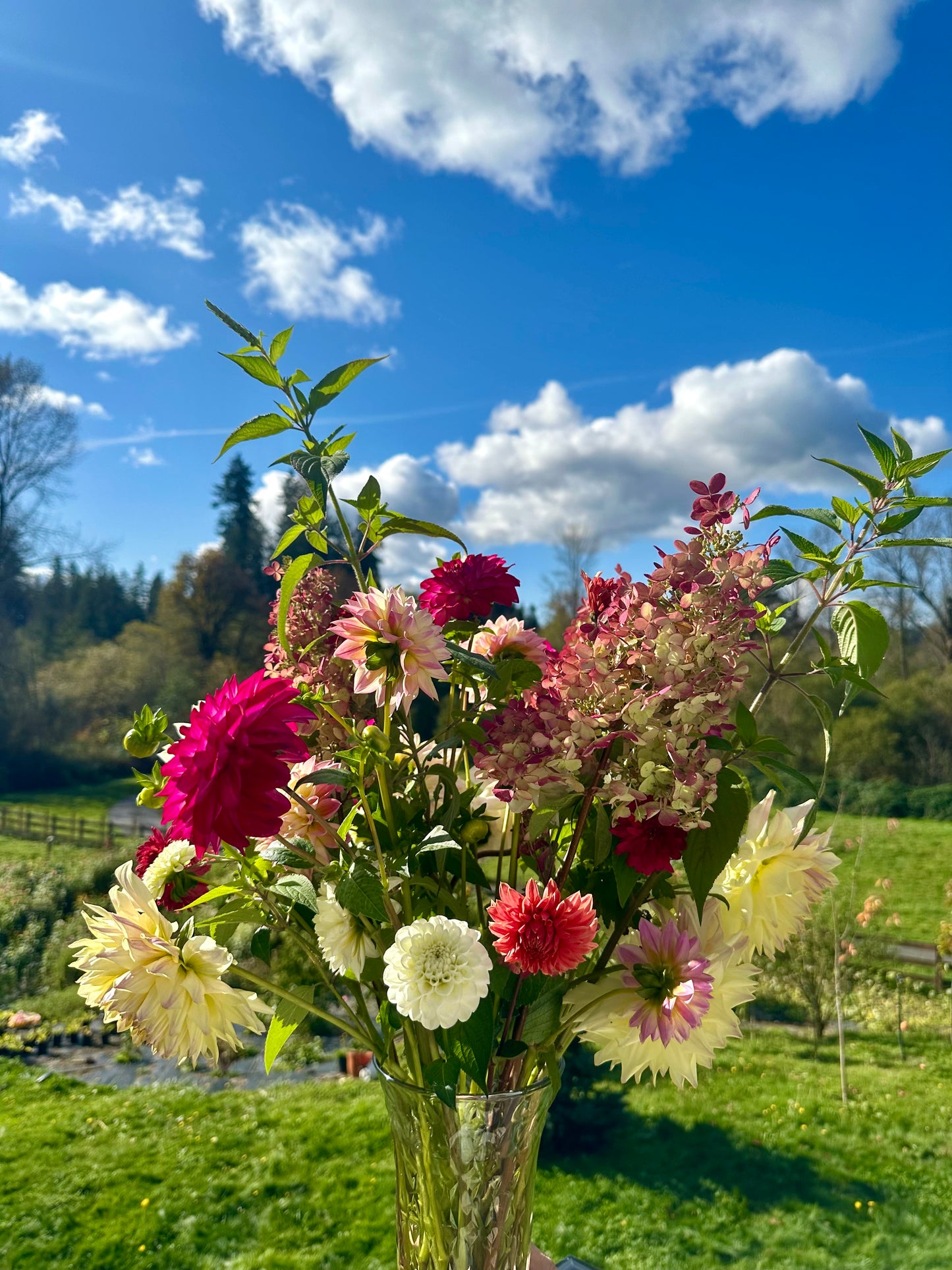 2025 Fall Bouquet Subscription (5 Bouquets and a Pumpkin!) Delivered!