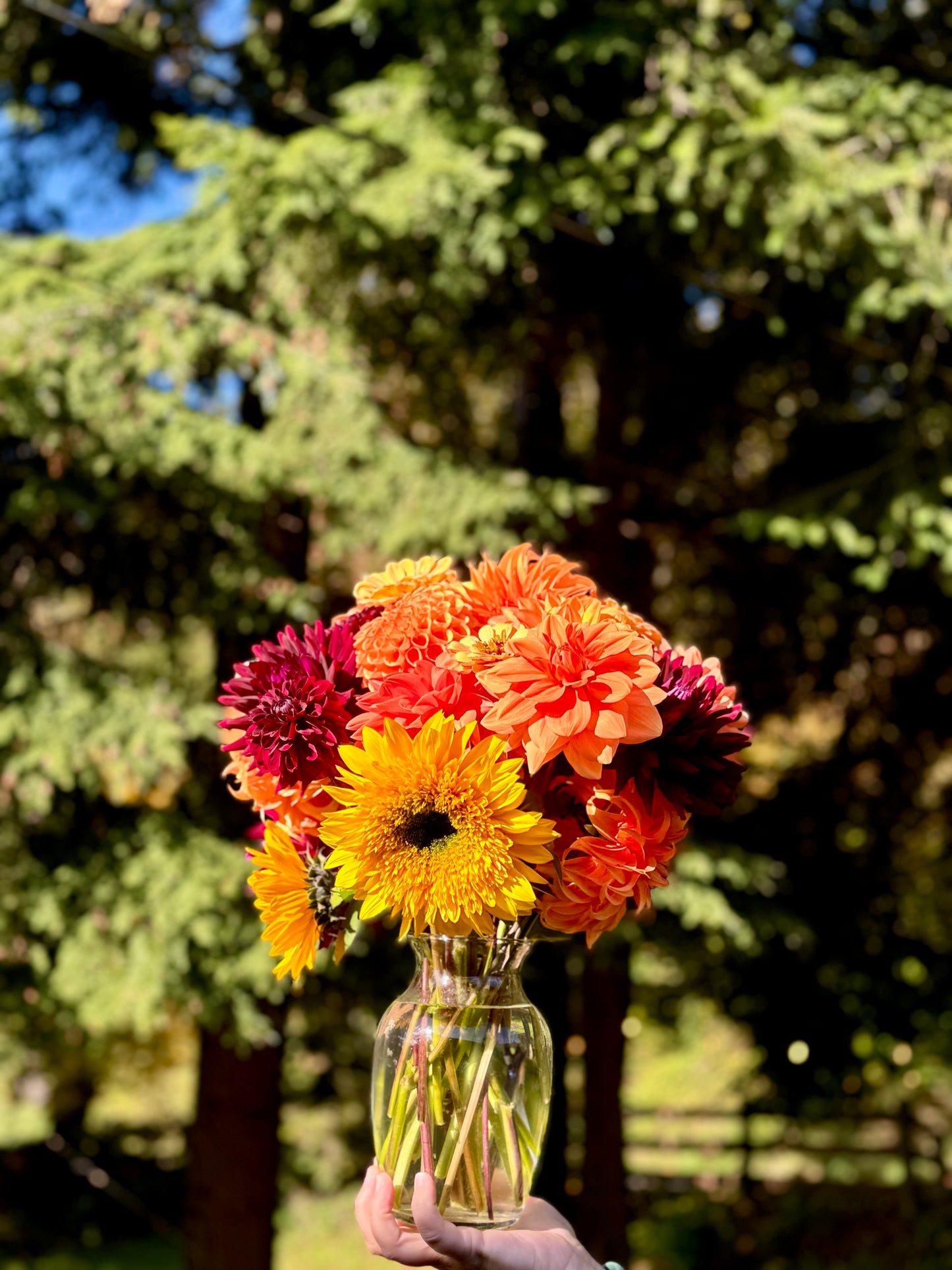 2025 Fall Bouquet Subscription (5 Bouquets and a Pumpkin!) Delivered!