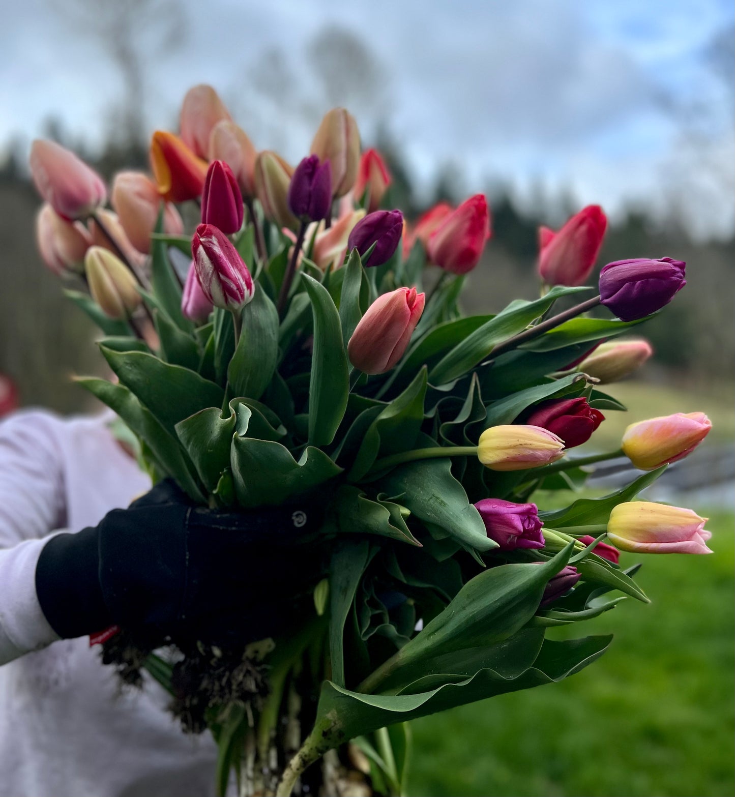 Spring Flower Bouquet in Issaquah (Farm Stand Pickup Only)