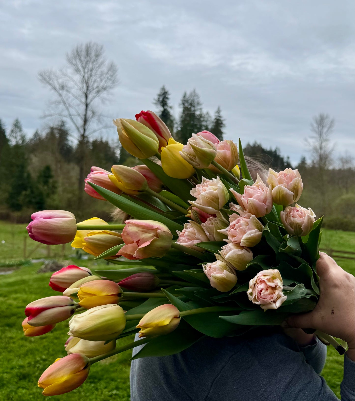 2026 Spring Flower Subscription (4 Bouquets) Delivered + Christmas Gift Pack (Limited Time)