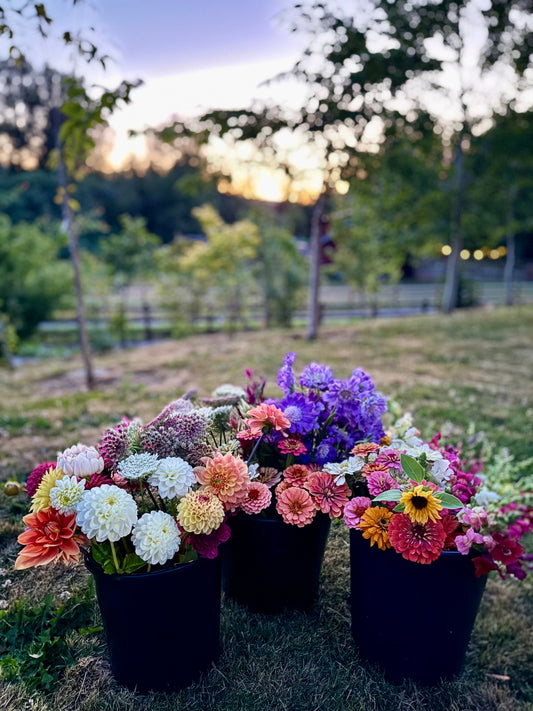 2026 Summer Flower Subscription (5 Bouquets Delivered to Mercer Island, Bellevue and Redmond