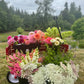 Private U Cut Flower Arranging Experience  + Christmas Gift Pack (Limited Time)