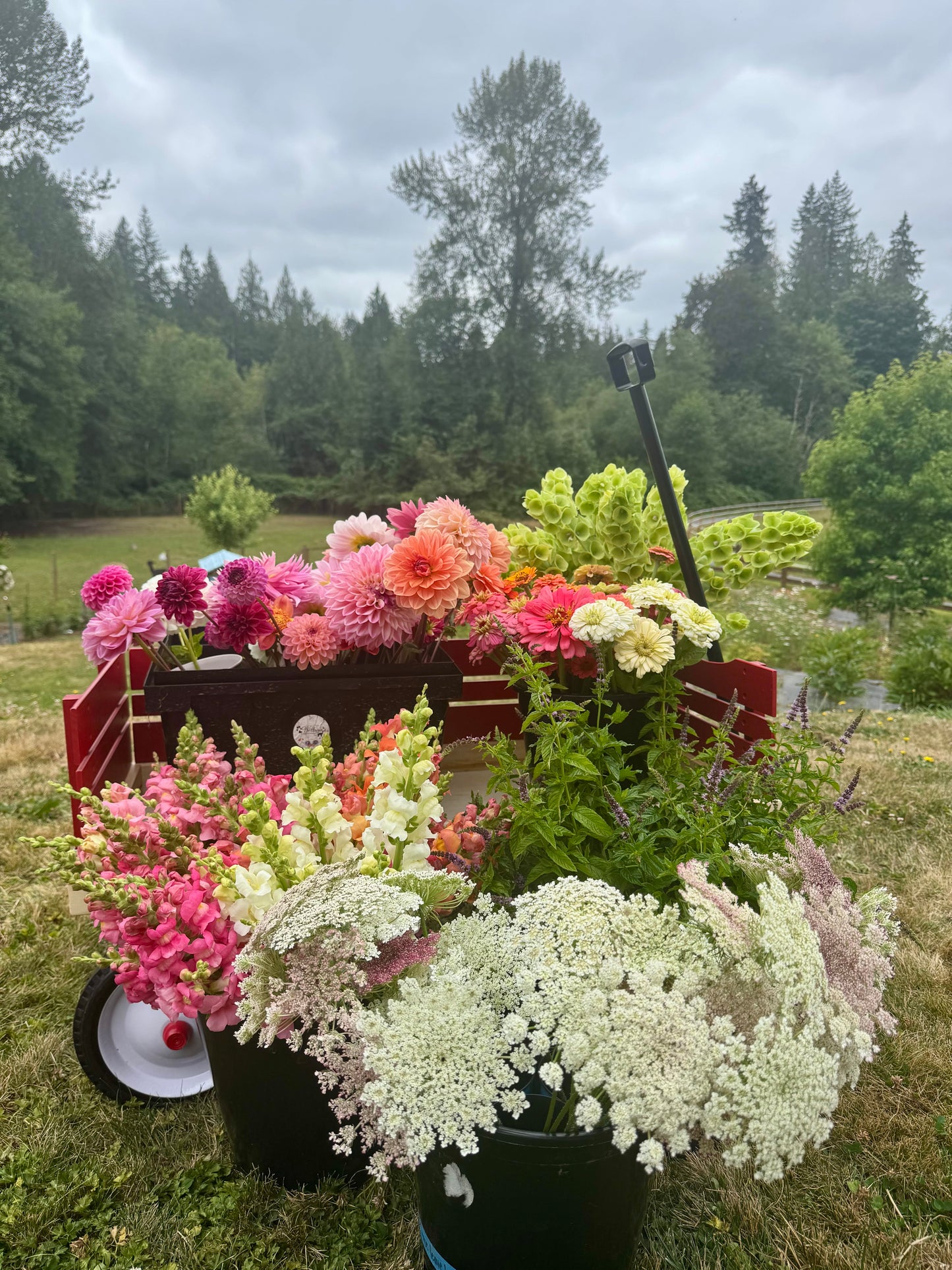 Private U Cut Flower Arranging Experience  + Christmas Gift Pack (Limited Time)