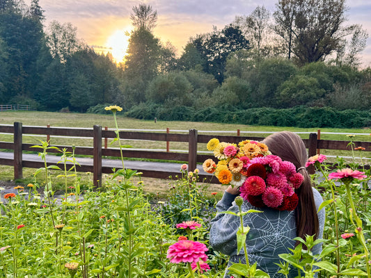 2026 Fall Bouquet Subscription (4 Bouquets and a Pumpkin!) Delivered! + Christmas Gift Pack (Limited Time)