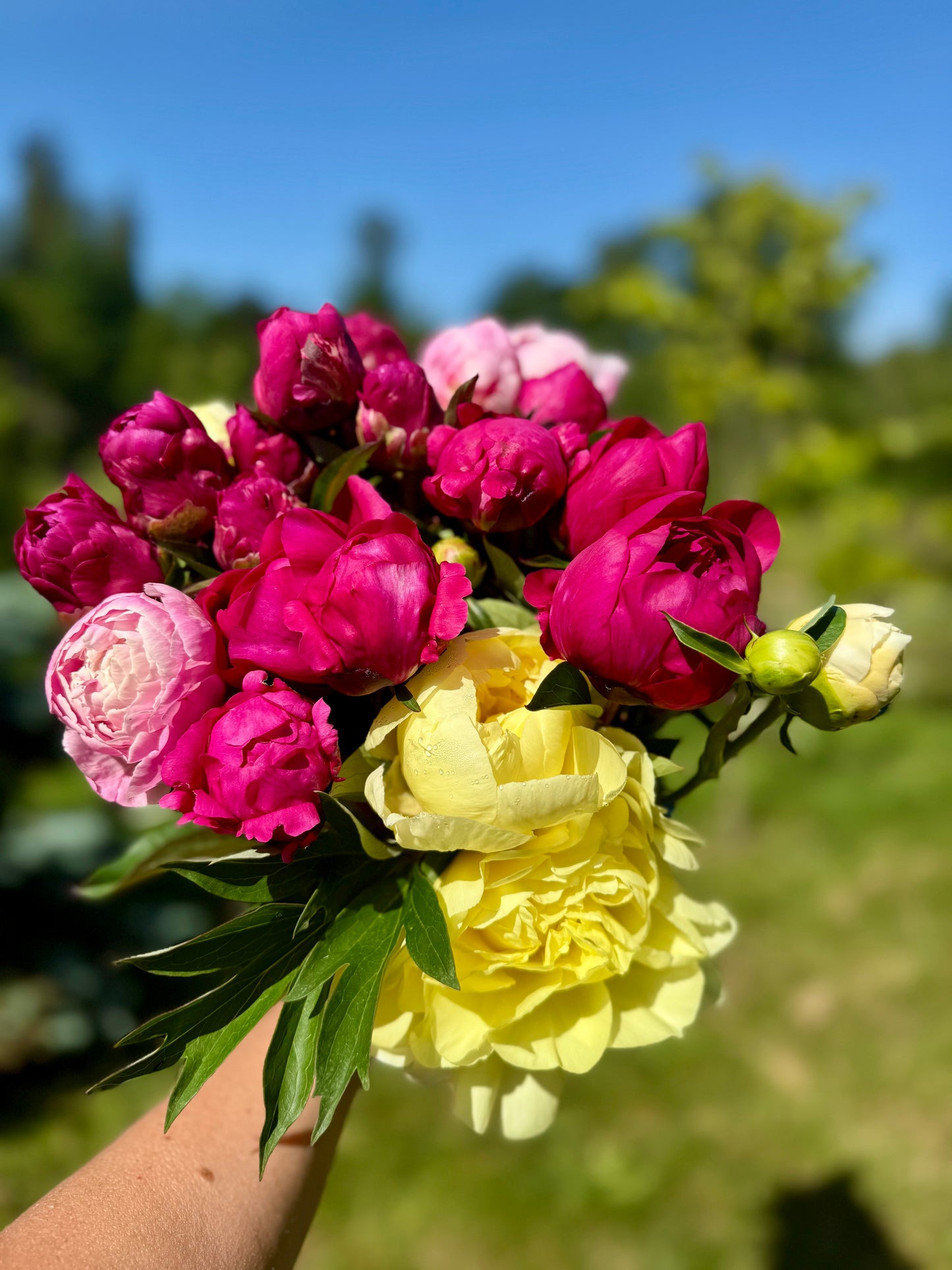 2026 Spring Flower Subscription (4 Bouquets) Delivered + Christmas Gift Pack (Limited Time)