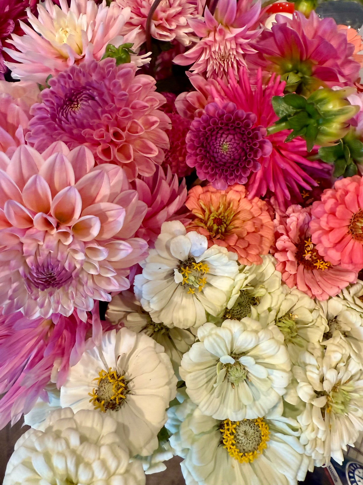 2026 Summer Flower Subscription (5 Bouquets Delivered) + Christmas Gift Pack (Limited Time)