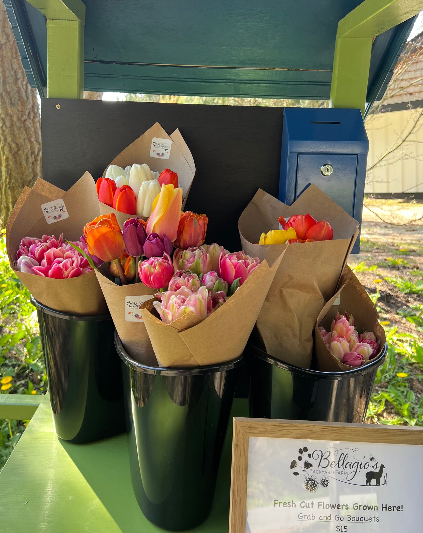 Fresh Cut Flower Bouquet in Issaquah (Farm Stand Pick Up)