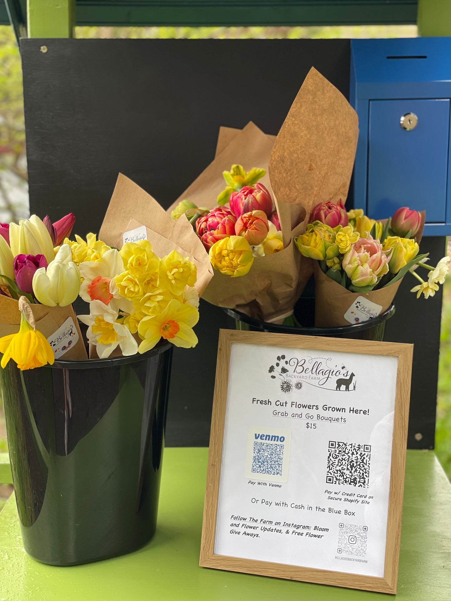 Fresh Cut Flower Bouquet in Issaquah (Farm Stand Pick Up)