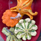 Backyard Farm Decorative and Funky Gourds